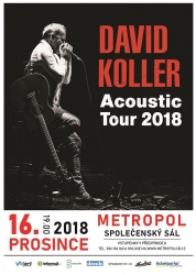 David Koller Acoustic Tour 2018
